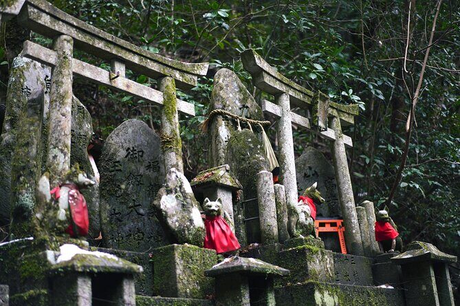 1-Day Kyoto and Nara Highlights Day Trip with a Private Car - Lunch in Nara: Included, With Real Dietary Options