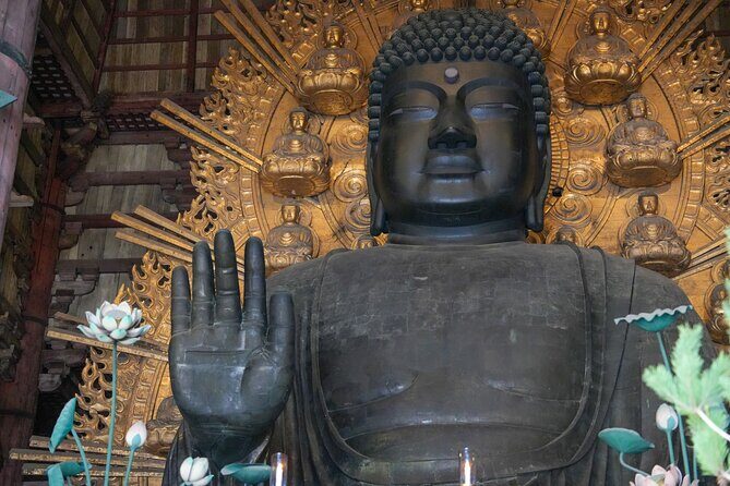1-Day Kyoto and Nara Highlights Day Trip with a Private Car - Nara Park and the Deer: Fun, Fast, and Surprisingly Memorable