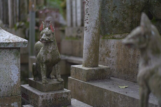 1-Day Kyoto and Nara Highlights Day Trip with a Private Car - Kasuga Taisha: Where UNESCO Status Meets a Slower Feeling