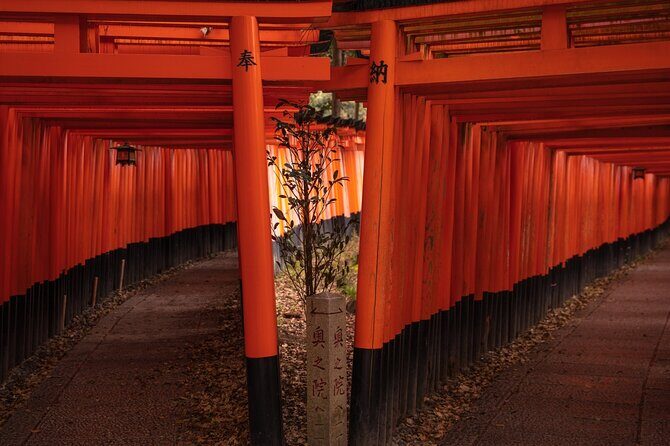 10 Must-see Spots in Kyoto One Day Private Tour (up to 7 people) - Kinkaku-ji (Golden Pavilion): The “Postcard Kyoto” Moment
