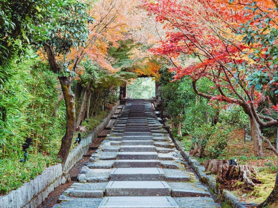 [2.3km / 1.43mi] Kyoto East Early Morning Walking Tour - What the small group size really changes