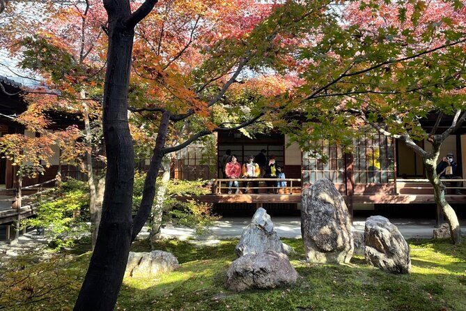 4.5-Hour Kyoto Bike Tour with Lunch and UNESCO Zen Temples - Price and value: what you’re really paying for at $99.10