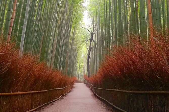 5 Top Highlights of Kyoto Full Day Bike Tour (E-bike option) - Stop 3: Gion and the geisha district atmosphere