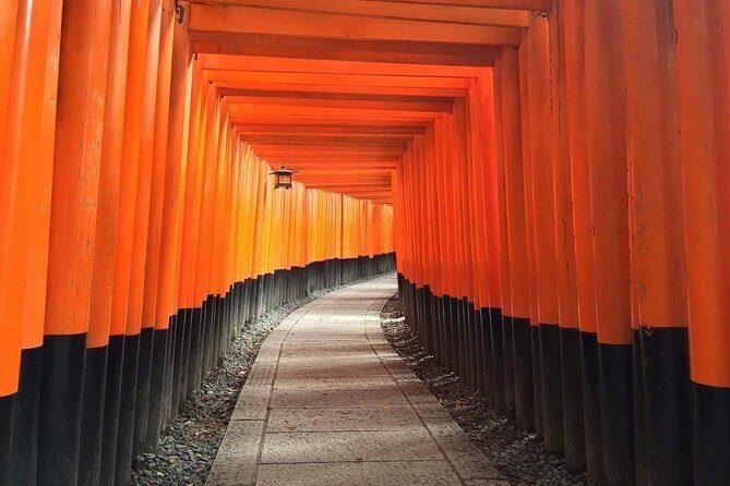 5 Top Highlights of Kyoto Full Day Bike Tour (E-bike option) - E-bike vs traditional bike: what to choose for a 7–8 hour day