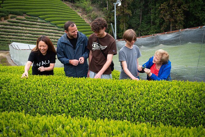 7hr Private Wazuka True Hidden Kyoto Matcha Farm Experience - Meeting your host at the tea-cafe start in Wazuka