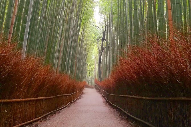 Afternoon Kyoto Bike Tour: Bamboo Forest, Monkeys & Hidden Spots - Tenryu-ji Temple Sogenchi Teien: a break that feels “Kyoto”