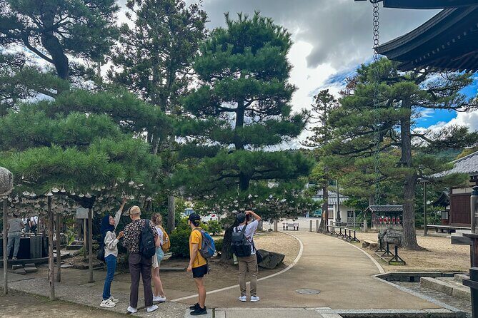 All-Inclusive Kyoto Day Tour: Amanohashidate, Miyama or Ohara - Three routes, one 8-hour private day