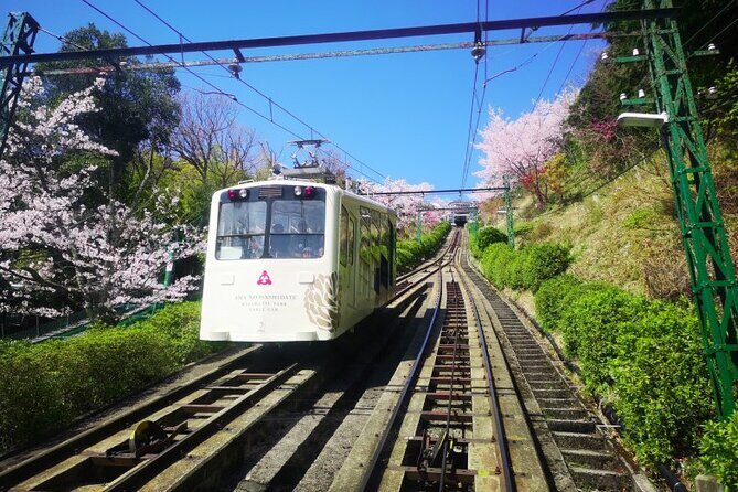 Amanohashidate & Miyama 1-Day Bus Tour: From Osaka/Kyoto w/ Lunch - Amanohashidate + Miyama: the smart combo for a 1-day escape