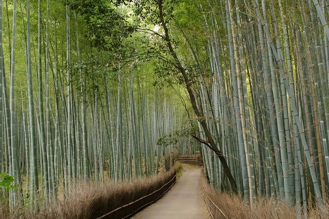 Arashiyama Bamboo Forest E-Biking Tour - Stop 1: Otagi Nenbutsu-ji Temple and the Laughing Buddha trail