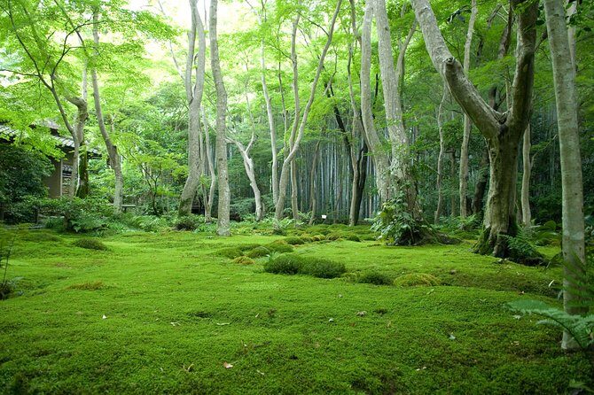 Arashiyama Bamboo Forest E-Biking Tour - Stop 2: Tōji-in Temple, moss calm, and quiet perspective