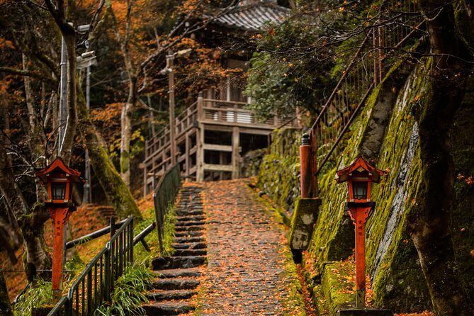 Arashiyama Bamboo Forest E-Biking Tour - Stop 3: The bamboo forest trail—walk time, crowds, and photos