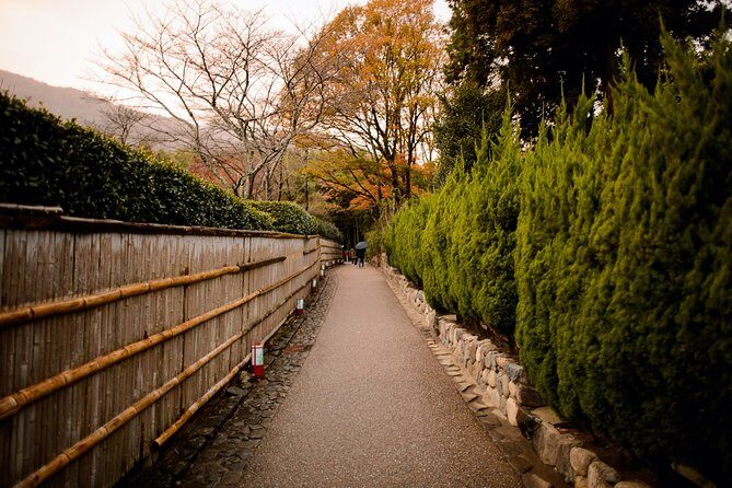 Arashiyama Bamboo Forest E-Biking Tour - The best part isn’t just bamboo: the ride between stops
