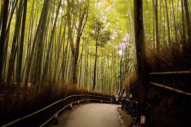 Arashiyama Bamboo Forest E-Biking Tour - Meeting point and timing: start at 1:00 pm
