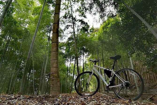 Arashiyama Bamboo Forest & Hidden Gems Bike Tour (Early Bird) - Stop 4: Togetsukyo Bridge views that frame the whole area