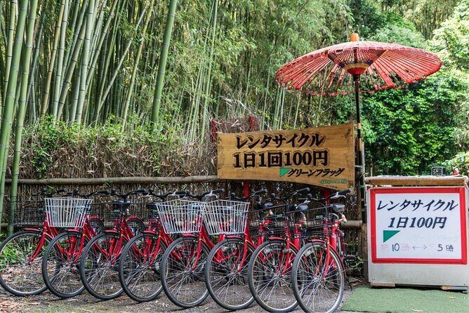 Arashiyama from Kyoto: Private & Personalized with a Local Guide - Tenryu-ji: UNESCO Zen vibes without the museum tone