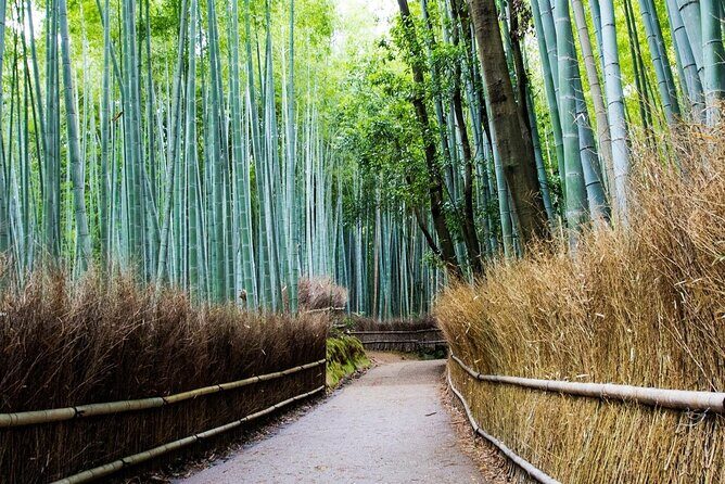 Arashiyama from Kyoto: Private & Personalized with a Local Guide - Gio-ji and Daikaku-ji: filling in the story around the big name temples