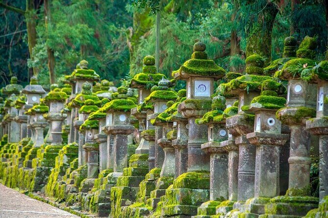 Arashiyama & Nara Highlights: One-Day Private Tour Adventure - Arashiyama Bamboo Forest and Tenryu-ji Garden: Kyoto at Its Most Iconic