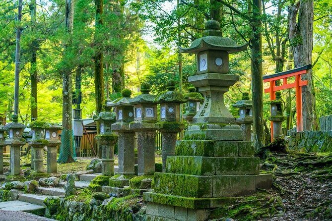 Arashiyama & Nara Highlights: One-Day Private Tour Adventure - The Real Value: Private Guidance Across Big Names