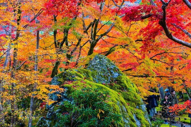Arashiyama Walking Tour with Optional Sagano Romantic Train Ride - Sagano Romantic Train: the 25 minutes that changes the whole vibe