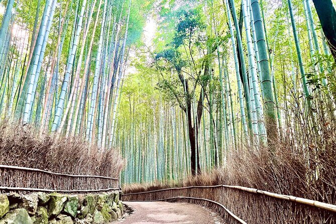 Bamboo Grove Temple and Garden Views Tour - Key takeaways before you head to Arashiyama