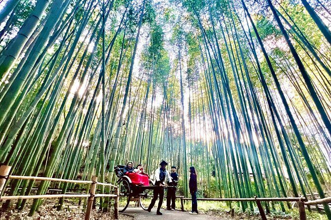 Bamboo Grove Temple and Garden Views Tour - Kyoto Station to Arashiyama: meeting point and route feel