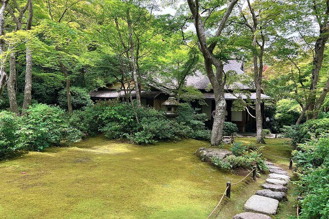 Bamboo Grove Temple and Garden Views Tour - Arashiyama Bamboo Forest: atmosphere you can feel, not just photograph