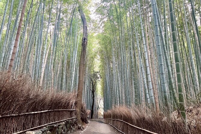 Bamboo Grove Temple and Garden Views Tour - Nonomiya Shrine: a small pause in a bamboo grove
