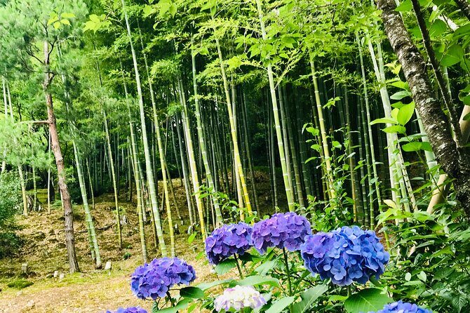 Bamboo LED Lantern Making Experience in Kyoto Arashiyama - Your Options: LED Lantern, Sake Cup, Teacup, and More