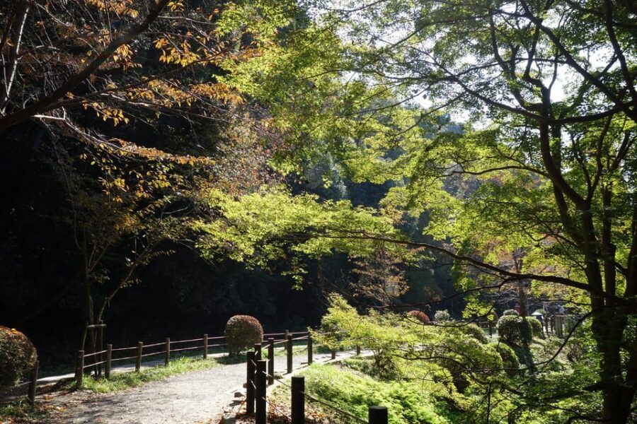 Best of Kyoto: Ginkakuji & Path of Philosophy E-Bike Tour - Philosopher’s Path: cycling the Kyoto you actually want to feel