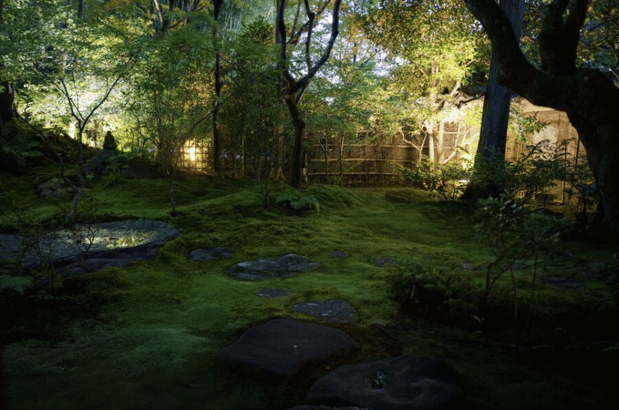 Candlelit Zen: Evening Meditation at Kyoto’s Secret Temple - Small details that can make or break your night