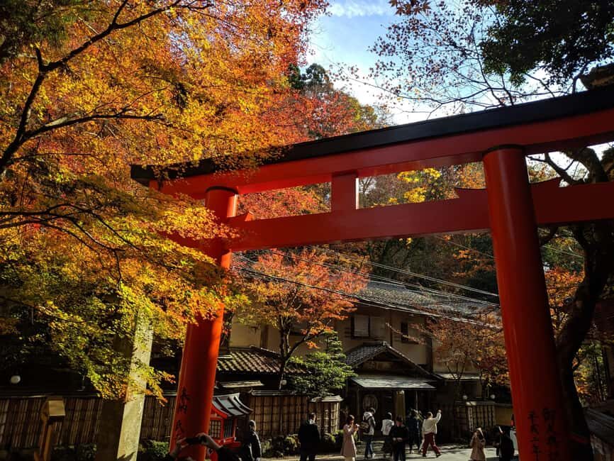 Craig's Kyoto Private Luxury Alphard Tour / The Early Riser - The Surprise Bonus: Hidden Temples and Peaceful Gardens