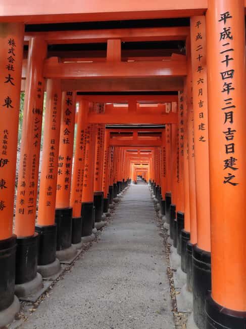 Craig's Kyoto Private Luxury Alphard Tour / The Early Riser - A Typical Morning Rhythm (and What It Means for You)