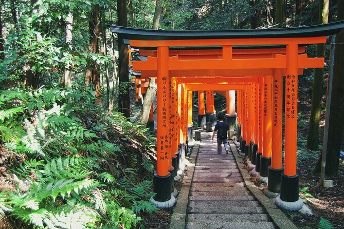 Crowd-Free Kyoto: Fushimi Inari, Nijo Castle & Kinkaku-ji - Nijo Castle and the Tokugawa palace focus at Ninomaru