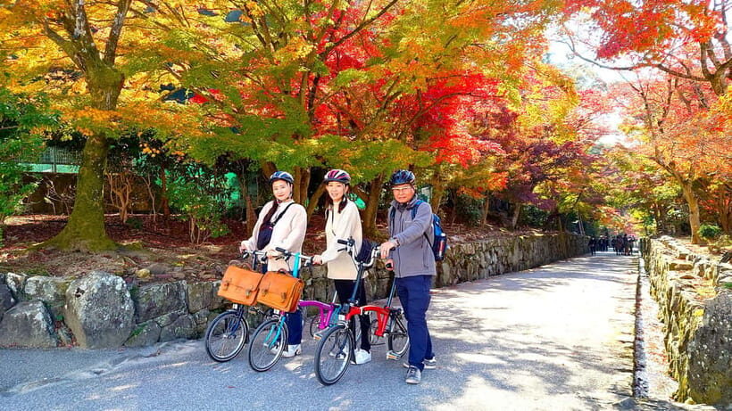 Cycling Tour at Uji's Matcha Green Tea Fields and Heritage - Price and value: what $160 buys you in real terms