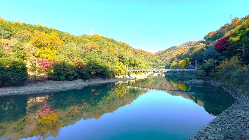 Cycling Tour at Uji's Matcha Green Tea Fields and Heritage - Meeting point: find the Tea Jar post outside JR Uji Station