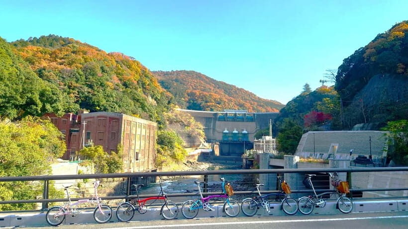 Cycling Tour at Uji's Matcha Green Tea Fields and Heritage - Chazuna and the matcha start: where the day finds its flavor