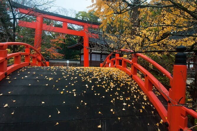 Discover Kyoto by Bike: Authentic Half Day Tour - Riding Kyoto’s highlights on a real local bike