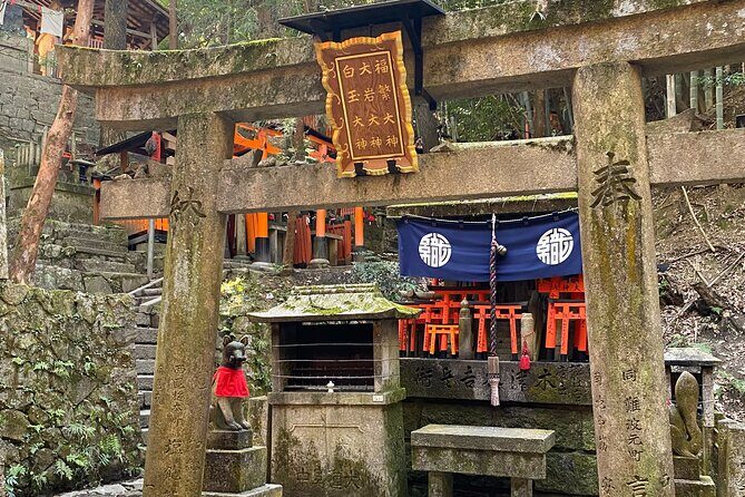 Discover the Secrets of Fushimi Inari and Gion with a Local Guide - Fushimi Inari Taisha: torii tunnels and how to enjoy your full hour