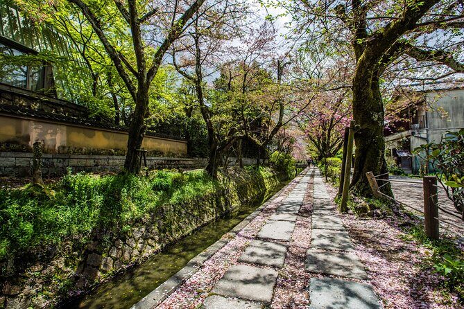 Early Bird E-biking through East Kyoto - Ginkakuji and Beyond: Silver Pavilion Area and a Lunch Reset