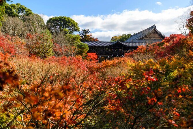 Early Bird E-biking through East Kyoto - Nanzen-ji: Temple Grounds With Space to Walk