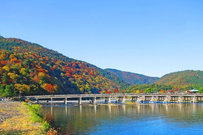 Enjoy Kyoto in Style with a Minivan & Guide! - Key Highlights You’ll Feel Right Away