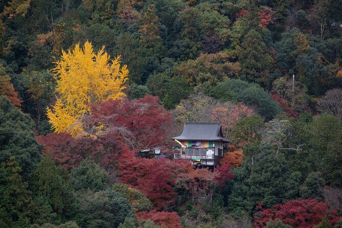 Explore Arashiyama Bamboo Forest with Authentic Zen Experience - Key highlights you will feel right away