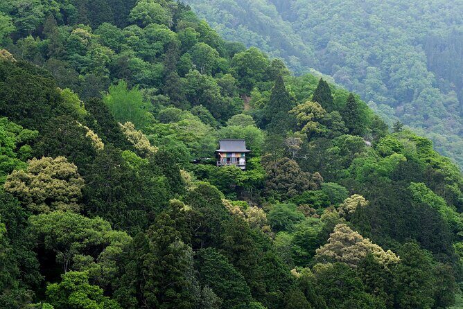 Explore Arashiyama Bamboo Forest with Authentic Zen Experience - Stop 5: Kimono Forest at Randen Keifuku plus snacks and foot bath