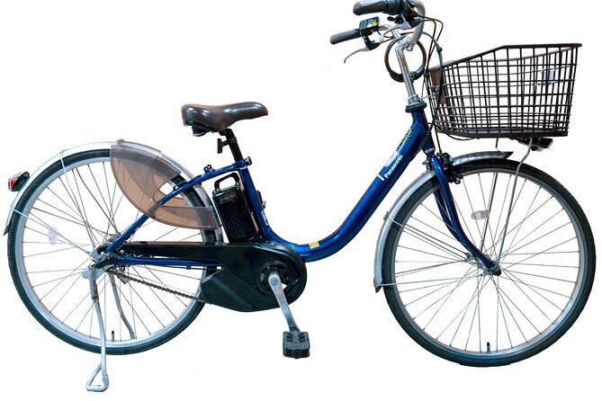Explore Hidden Alleyway with a Local Expert (Morning tour) - Practical biking tips so the ride feels easy