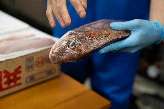 Fish Cutting workshop in Kyoto Japan - First-timer safety: learning knife work without the panic