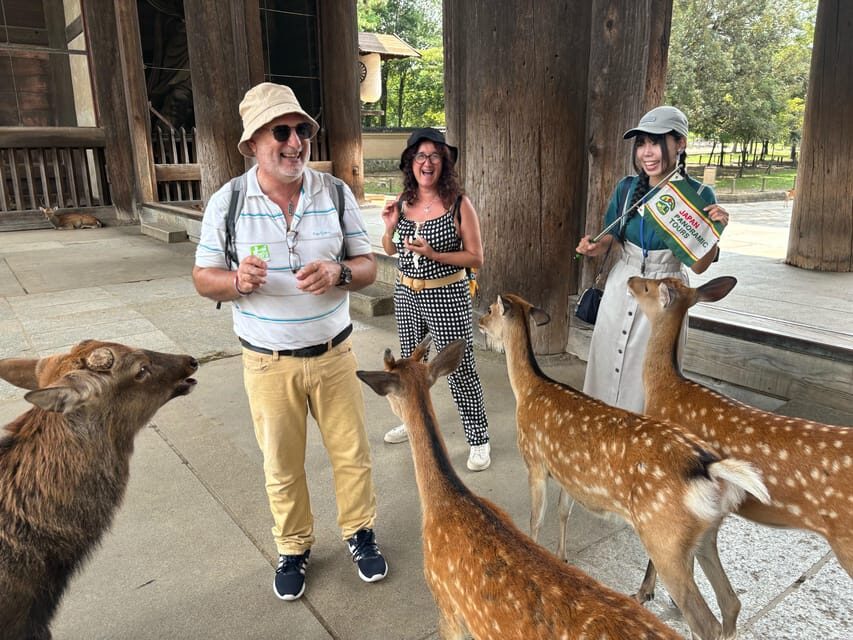 From Kyoto: Nara Guided Morning Tour - Nara in Four Hours: What Makes This Morning Tour Click