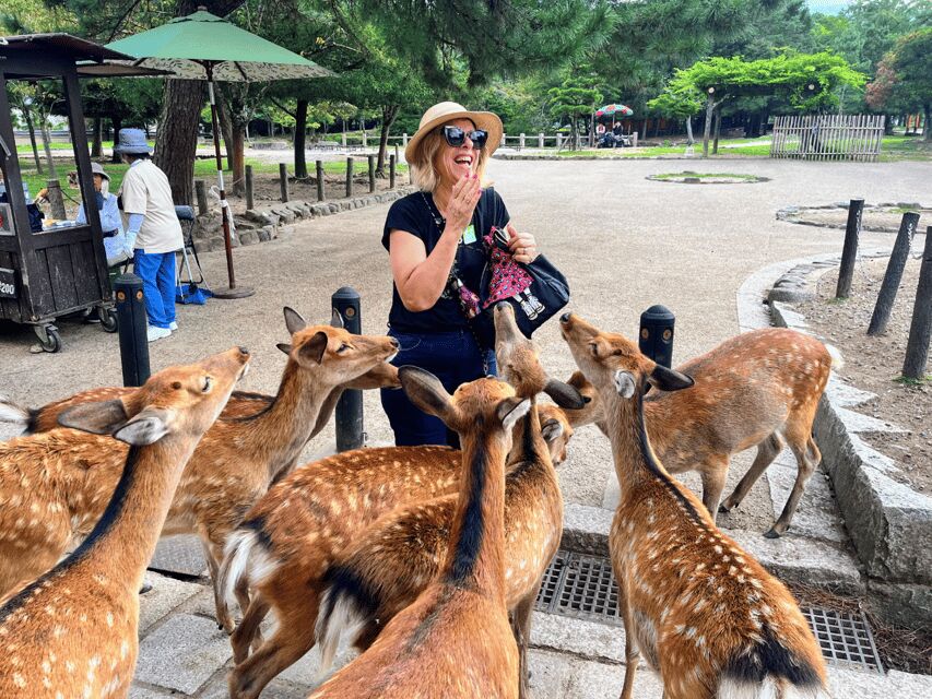 From Kyoto: Nara Guided Morning Tour - Key Things I’d Bet You’ll Remember