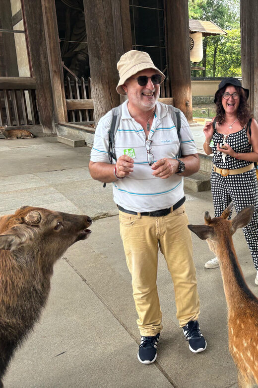 From Kyoto: Nara Guided Morning Tour - The Coach Ride: Comfort, Timing, and Route Snacks