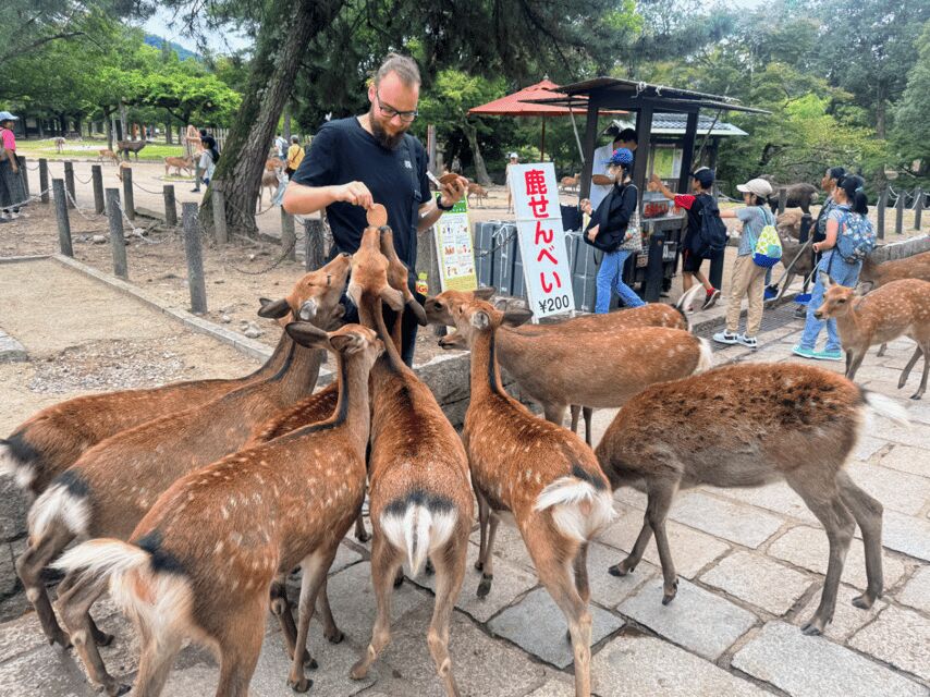 From Kyoto: Nara Guided Morning Tour - Kasuga Taisha Shrine: UNESCO Calm and the Lantern Paths