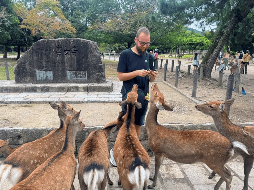 From Kyoto: Nara Guided Morning Tour - How the Audio Headsets Make This Tour Feel Easy